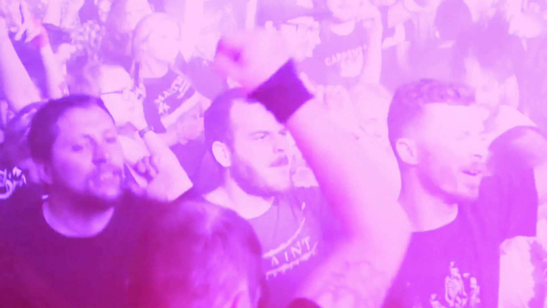 Fists up in the crowd at Panic At The Emo
